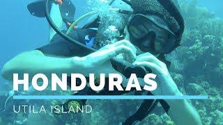 HONDURAS: UTILA / BAY ISLANDS COLLEGE OF DIVING