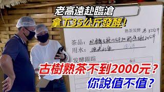 古樹熟茶不到2000元？老高遠赴臨滄拿下35公斤發酵！你說值不值？购茶请加微信/赖line：HDLG002#普洱茶#古树茶#老班章#古树茶#茶#茶叶#茶葉#古樹茶 #普洱茶wechat #tea