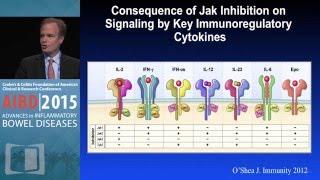 New Therapies that Target the JAK-STAT Pathway and other Small Molecules