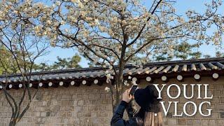 VLOG | youil.vlog | 3월브이로그 | 도심속 산책 | 집순이일상