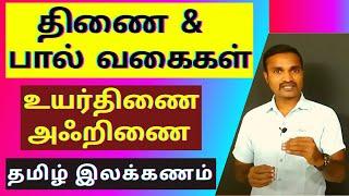 திணை மற்றும் பால் வகைகள் | உயர்திணை அஃறிணை | தமிழ் இலக்கணம் |