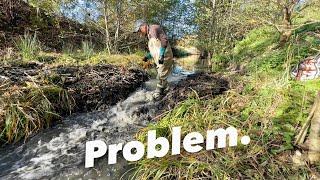 Beaver Dam Removal || Reason ?