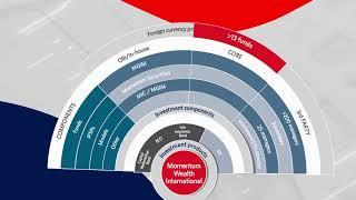 Momentum Wealth and Momentum Wealth International's capabilities