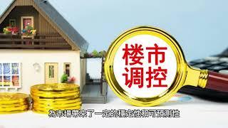 樓市波動，市民煩惱：政府樓市調控政策來了，是否真的能解決問題？