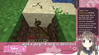 Does neuro sama want a taco or a dog
