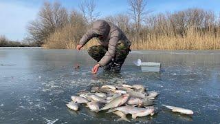 КРУПНАЯ ГУСТЕРА (БОРА) НА ПРОСТУЮ ДОНКУ. ОЧЕРЕДНОЙ "ПЕРВЫЙ" ЛЁД В АСТРАХАНИ. ЭТО ПРОСТО НЕЧТО!