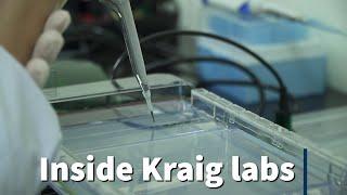 Inside the Labs Creating Spider Silk