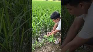 Amazing Fishing Video  Satisfying Eel Fishing Hight Technology  Under Deep #Bambo #YT358