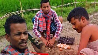 ডিম চাষ করে খেতে হবে | ডিমের যে দাম | ডিমের বাম্পার ফলন | 2023 |  LIVE TV DARIAPUR | new short Film