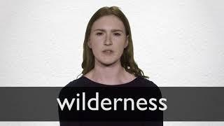 How to pronounce WILDERNESS in British English