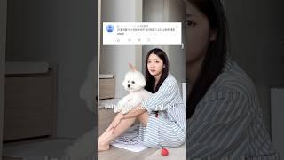 강아지랑 유튜브하면 무조건 듣는 소리 ㄷㄷ