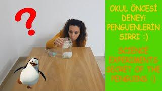 Evde Deneyler-Okul Öncesi Deneyler-Çocuklar için Deneyler/Science Experiments for Kids at Home