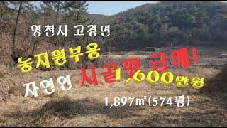 (No543)농지원부 만들수 있는 저수지위 산아래 자연인땅 1,600만원 급매!