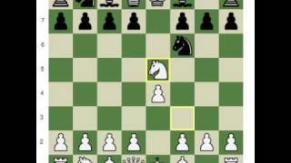 The Petroff Defence - Chess Video