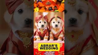 Abrar's Entry Adorable Puppy Wedding #shorts #viral