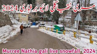 Murree: Live Snowfall, Murree Weather UpDate