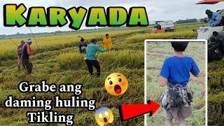 KARYADA/Panghuhuli ng tikling(grabe ang daming huling tiklingOR.MINDORO