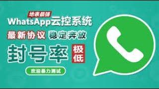 WhatsApp云控系统批量修改WS账号资料流程，WhatsApp获客，WS联系陌生人，WhatsApp自动加人，WS网页客服，WhatsApp营销工具，WhatsApp计数器，WhatsApp翻译器