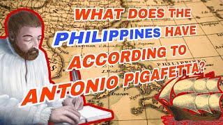 PIGAFETTA'S CHRONICLES: UNVEILING THE PHILIPPINES