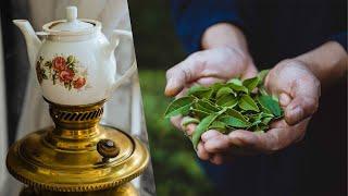 Persian Handmade Black Tea (The traditional way to prepare tea)