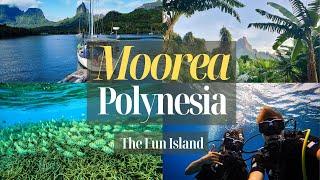 Moorea, the most fun island in French Polynesia! / Best things to see and do in a week?