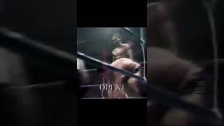 Marvin Johnson - 3 Time Light Heavyweight Champion
