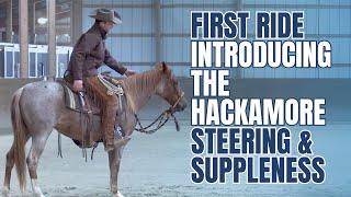 Starting A Horse In The Hackamore