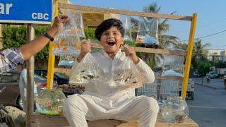 Ali ko itni sari new Fish  Dilwa Di  || First time sharq Fish  Dekhi  ||