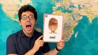 How to Pronounce Owl in English