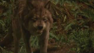 Exclusive New Moon clip: Edward and Jacob fight (sort of.. :O) New Wolf action!!