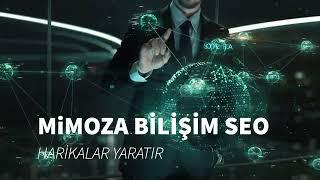 MİMOZA BİLİŞİM SEO AJANSI