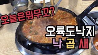 [야매월드] 부산 맛집 탐방 추천 서원시장 오륙도낙지 낙곱새