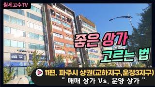 좋은 상가 고르는 법 11편. 파주시 상권 (교하지구,운정3지구) "매매상가 Vs. 분양상가"