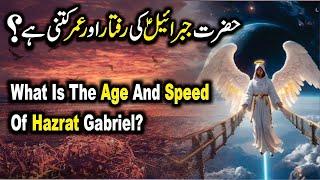 Hazrat Sulaiman's age|staff of prophet sulaiman|the purpose of life| urdu/hindi   pakistan