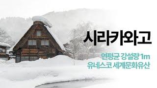 연평균 강설량 1m, 유네스코 세계유산인 일본의 작은 마을. 시라카와고 (다카야마 산마치거리까지)