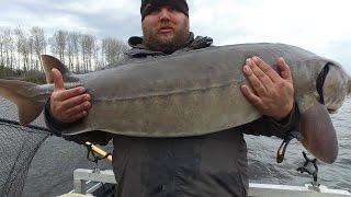 HUGE Lake Sturgeon: Rainy River, Minnesota - Northwoods Angling