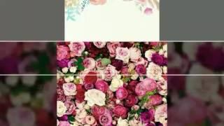 Fondos de pantalla de flores 