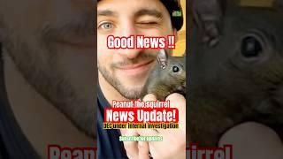 Peanut the Squirrel's 5 Hidden DEC Investigation Secrets!