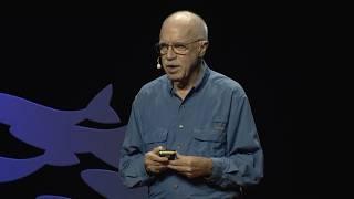 What you didn't know about bats | Merlin Tuttle | TEDxUTAustin