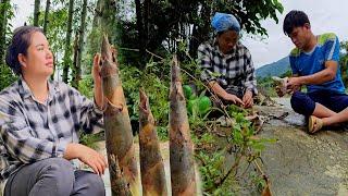 Dinh and the mute boy transported giant bamboo trees to build a house. Follow the big stream