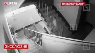 Последние минуты жизни выпавшей в пеньюаре в Петербурге попали на видео