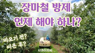 사과아저씨가 알려주는 장마철 방제 요령 (사전방제 or 사후방제)