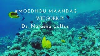 dK | Oordenking | Moedhou Maandag | Wie soek jy | Ds Natasha Loftus