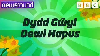 Everything you need to know about St David's Day | Newsround