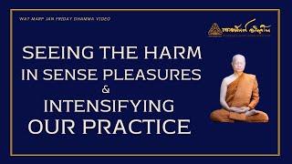 Seeing The Harm In Sense Pleasures And Intensifying Our Practice | Friday Dhamma | 18 Oct 2024