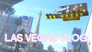 Las Vegas Vlog EP1| First day Korean food in Las Vegas, Airport, Hotel, Water Show, Popularity egg