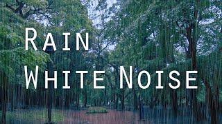 Rain White Noise for Tinnitus Relief, Sleep, ADHD, Focus, Study, 8Hours