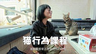 給貓主人的貓咪幸福課—貓咪的行為反映了他的需求。