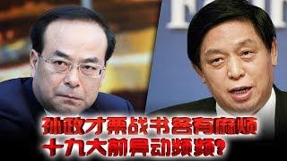 焦点对话：孙政才栗战书各有麻烦，十九大前异动频频？