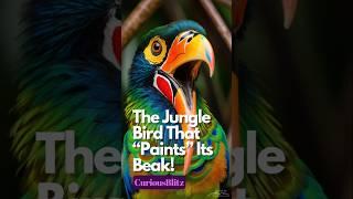 The Jungle Bird That “Paints” Its Beak! 